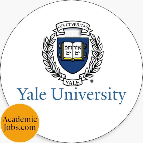 Postdoctoral Associate – Rethinking the Anti-Corruption Toolkit: 2026-2027